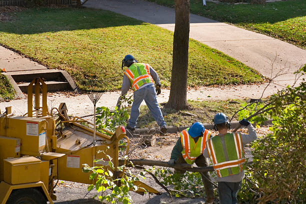 Best Landscape Design and Installation  in Tallahassee, FL